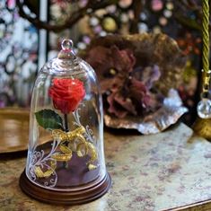誕生日プレゼントや記念日、退職や送別、結婚式の贈呈やサプライズに花束を｜ブーケアンドブーケ海浜幕張店へ。1番人気のガラスドーム入りの赤ばら