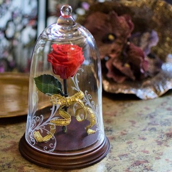 美女と野獣の様なガラスドーム入り赤バラを千葉市の幕張の花屋から全国発送|女性に人気のプレゼント