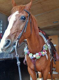 馬に生花で装飾、ガーデンウェディングの演出