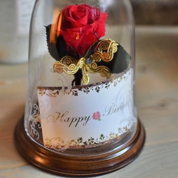 ディズニーの美女と野獣好きに人気のガラスドーム入りプリザーブドの赤バラ、メッセージカード案内
